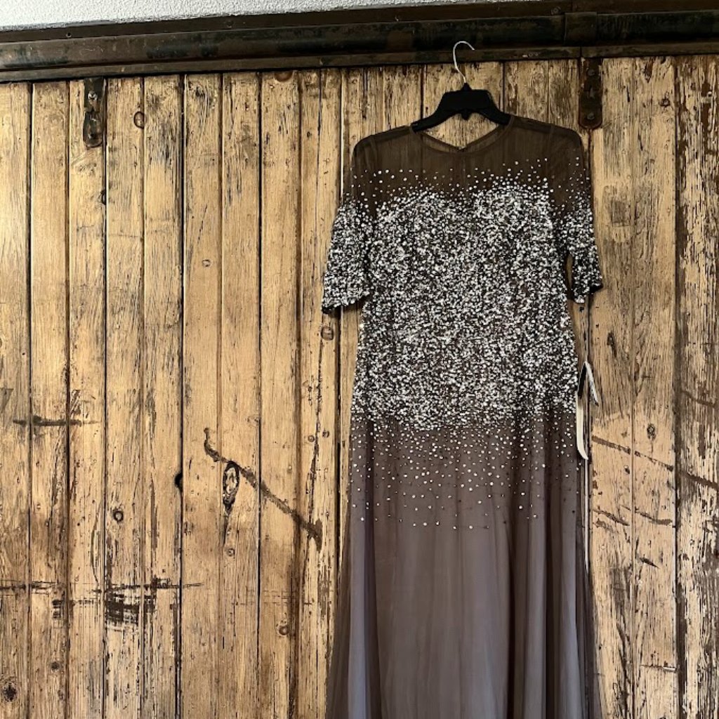 Nwt Adrianna Papell Lead Beaded Illusion Long Gown 14w